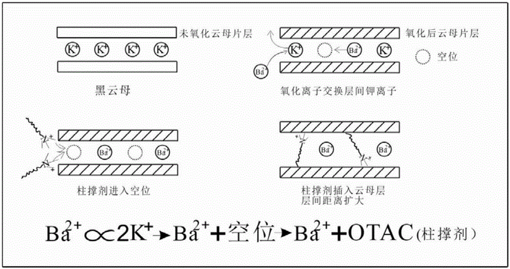 Method for modifying biotite through pillared intercalation