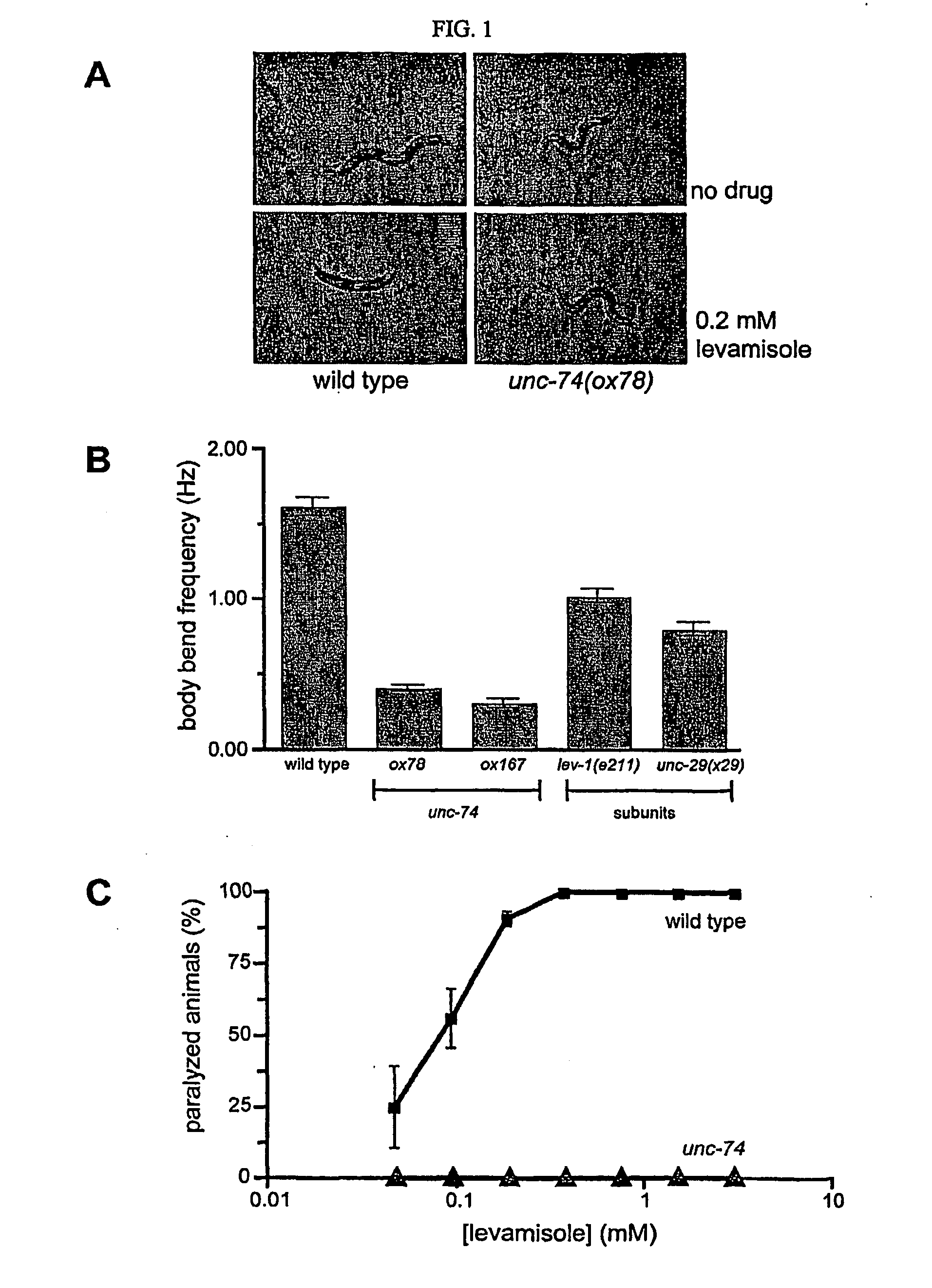 Acetylycholine gated ion channel chaperons and methods of using the same