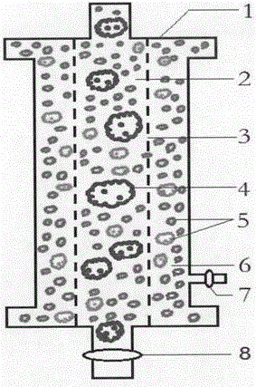 Maternal fetal blood group incompatibility antibody adsorption therapeutic apparatus