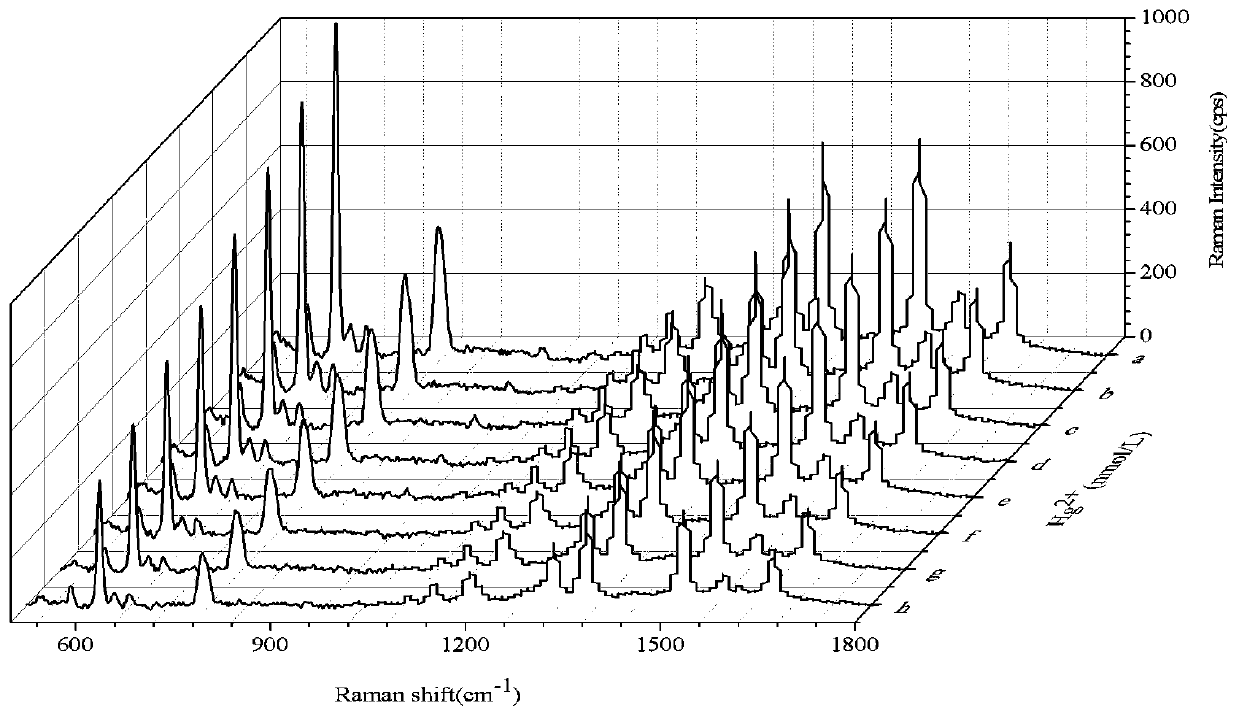 Method of determining trace mercury ions in Eleocharis tuberose peel based on DNase SERS technology