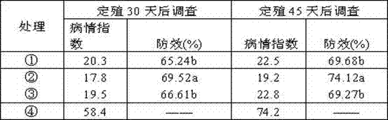 Bacillus aerophilus and application of bacillus aerophilus in killing meloidogyne