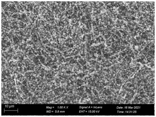 Preparation method of beaded carbon nanofiber-loaded titanium oxide photocatalyst