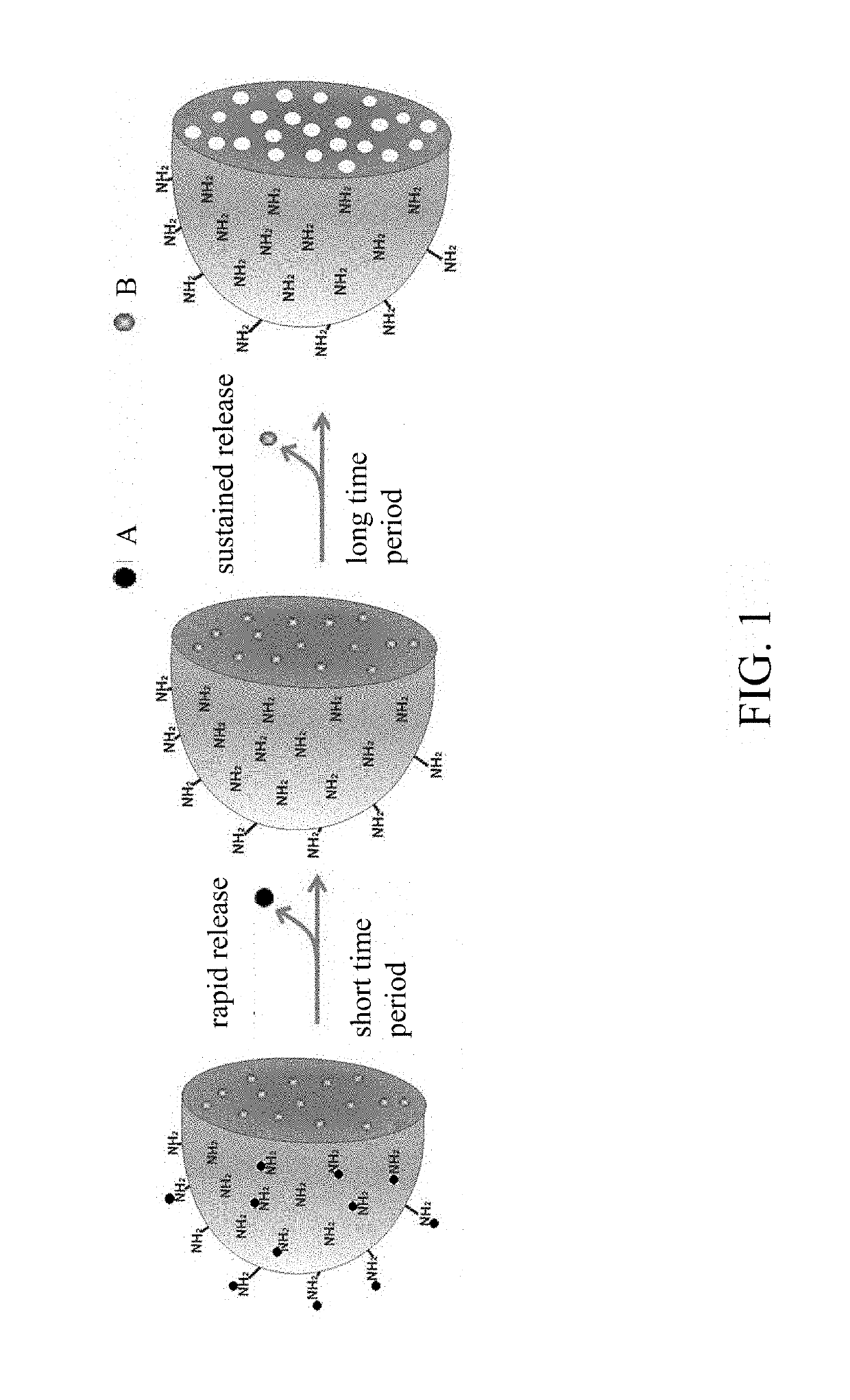 Surface-modified microsphere composition, application of the same, and method of preparing the same