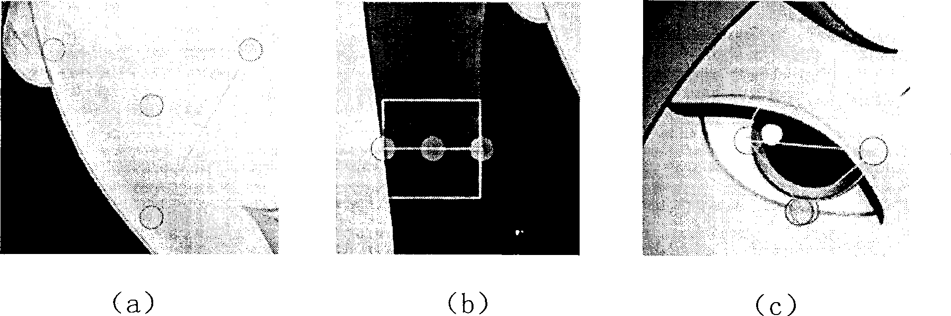 Computer assisted character animation drawing method based on light irradiated ball model