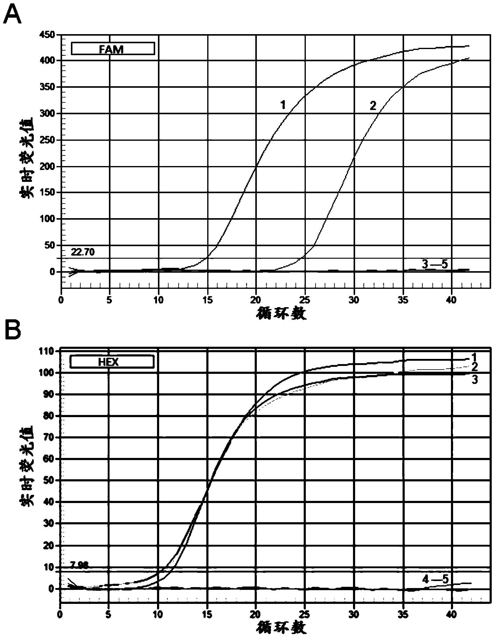 Cell line for stably expressing schmallenberg virus nucleocapsid protein and application of cell line