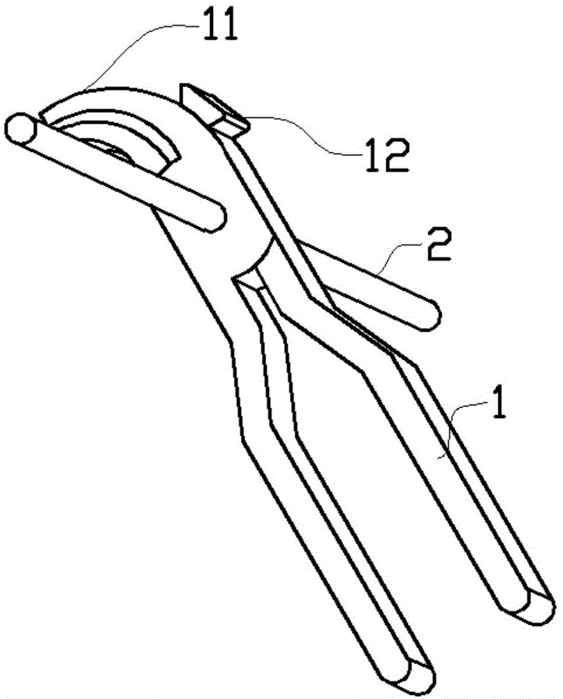 Lever tooth extraction apparatus