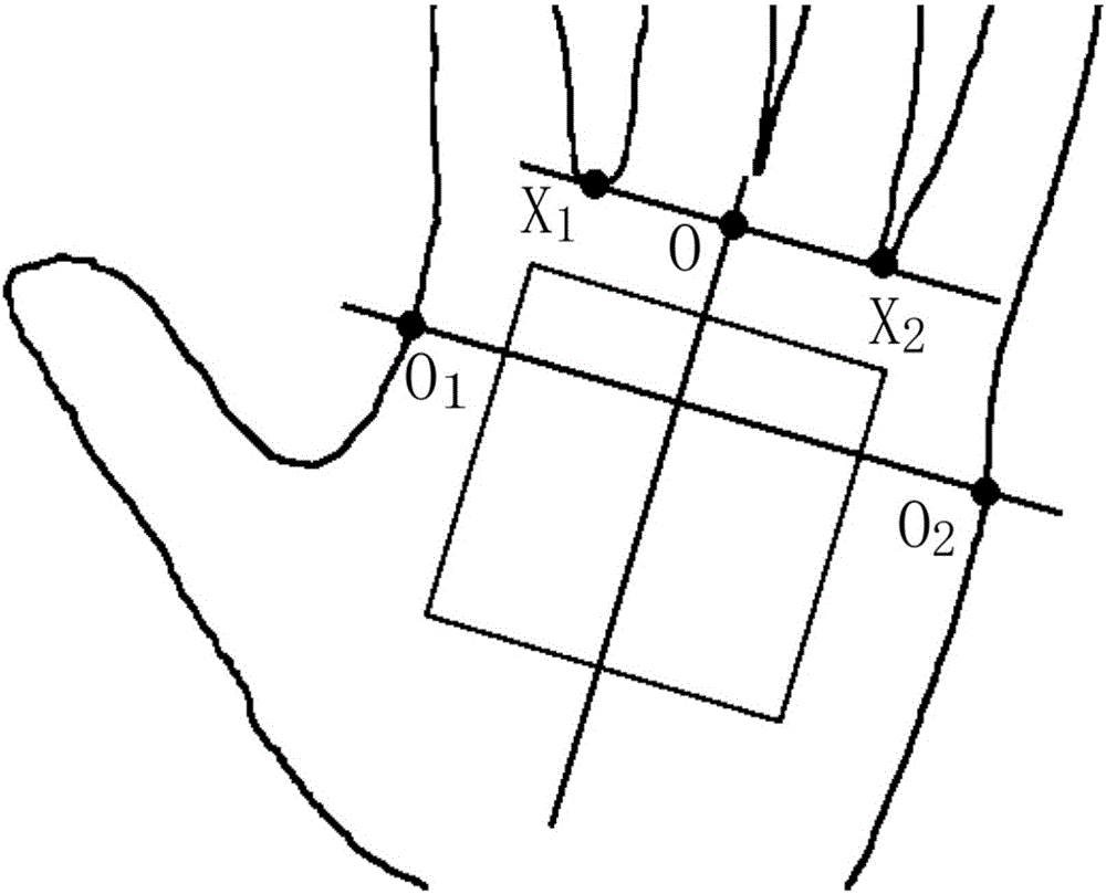 Palm print and palm vein identification method and palm print and palm vein image collection instrument