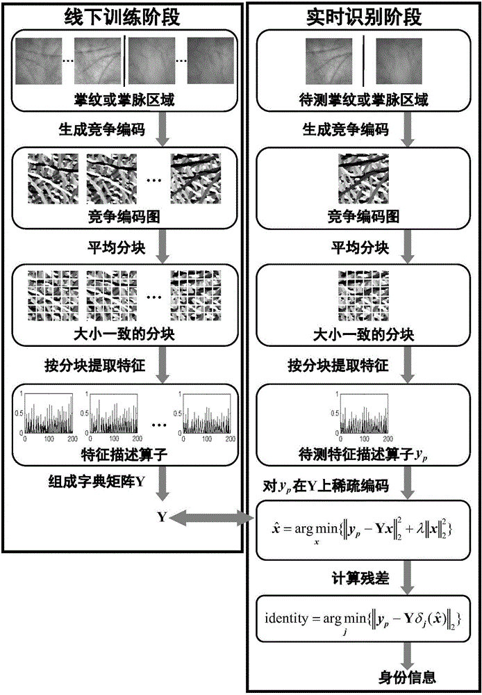 Palm print and palm vein identification method and palm print and palm vein image collection instrument