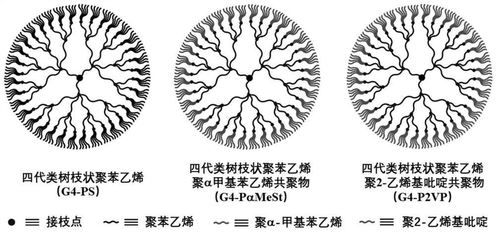 Dendrimers and their synthetic methods and applications