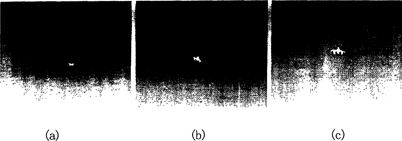 Infrared target identification method based on unchanged rotary morphology neural net