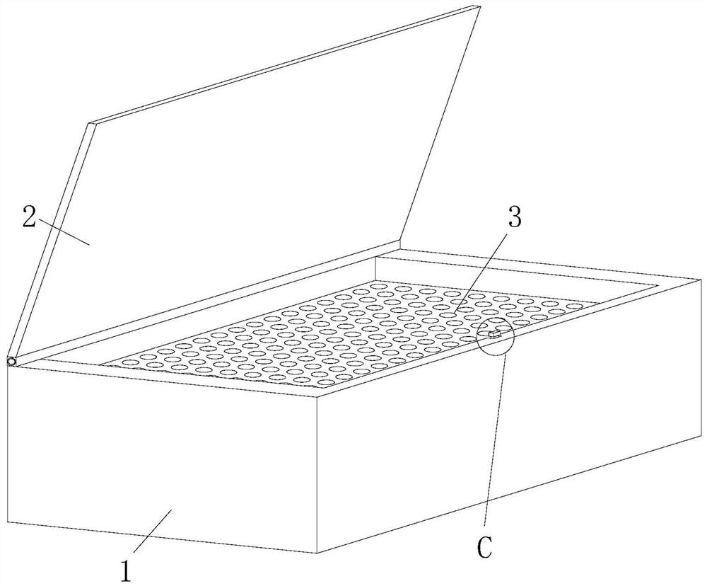 Kit for gene detection