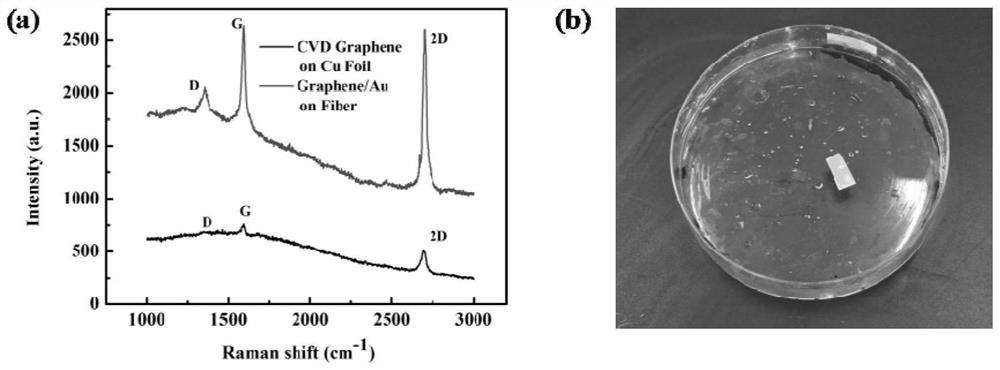 A kind of graphene/gold/D type plastic optical fiber SPR sensor and preparation method