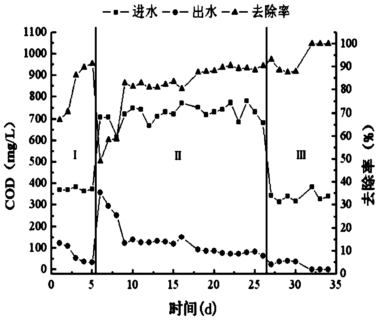 GAC/vermiculite filler-anaerobic fluidized bed process for treating leather disinfection wastewater