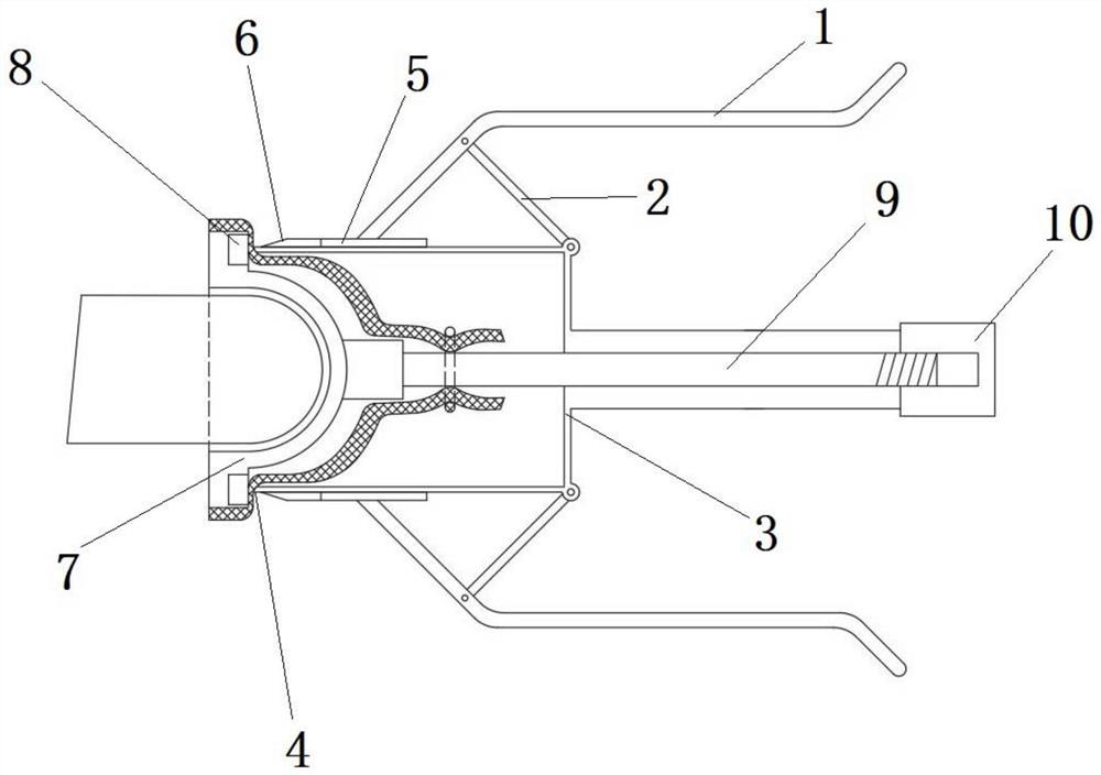 Prepuce shaping and cutting device