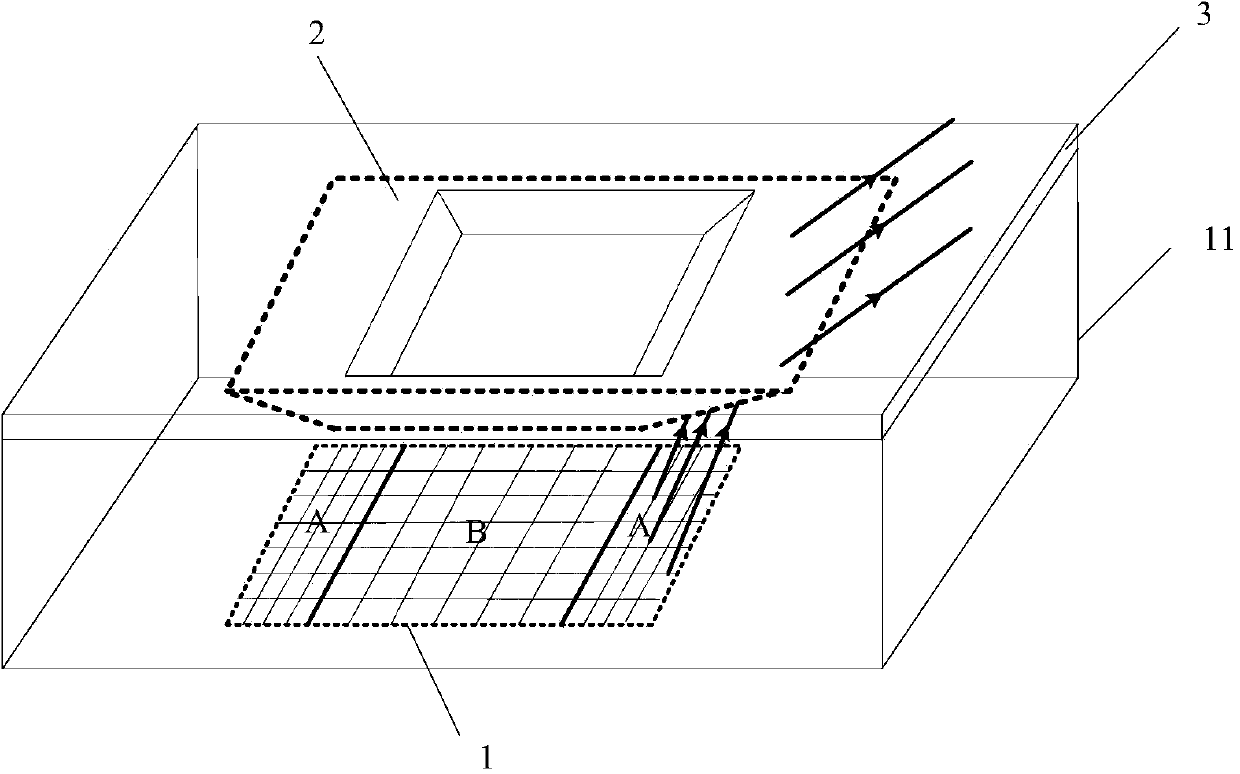 Display device and electronic device