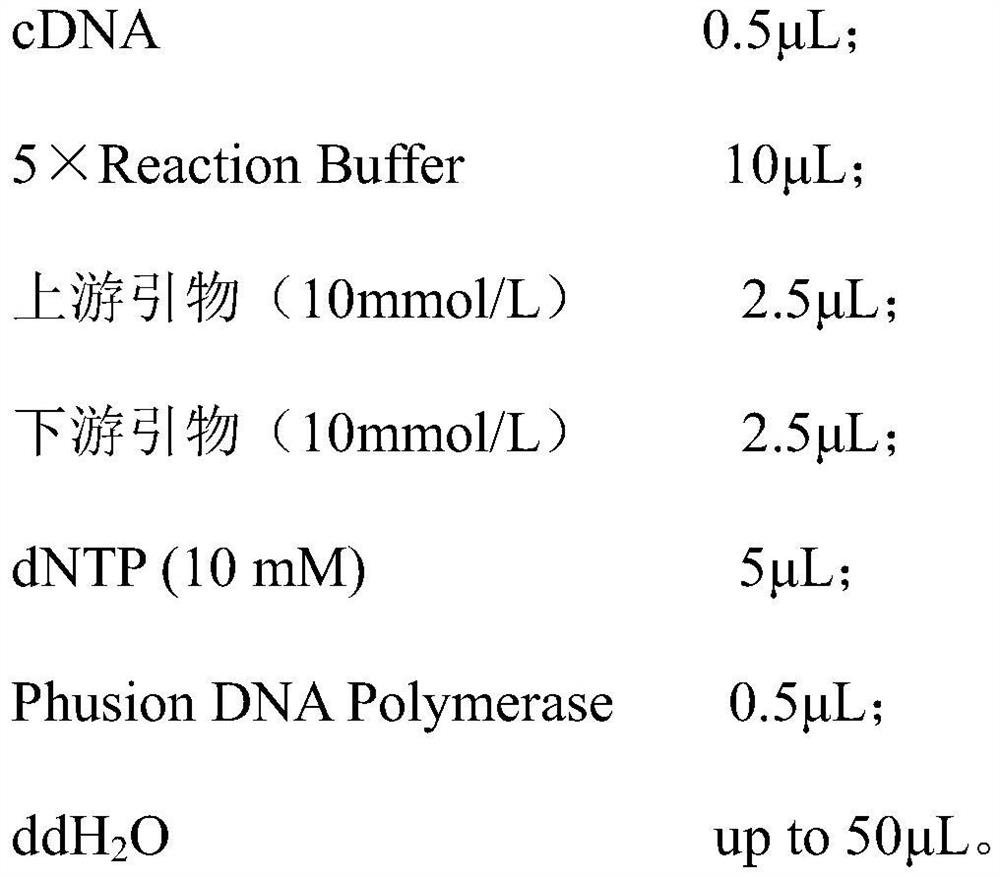 Tobacco nicotine metabolism related gene and application thereof