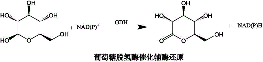 Glucose dehydrogenase mutant, preparation method thereof and application