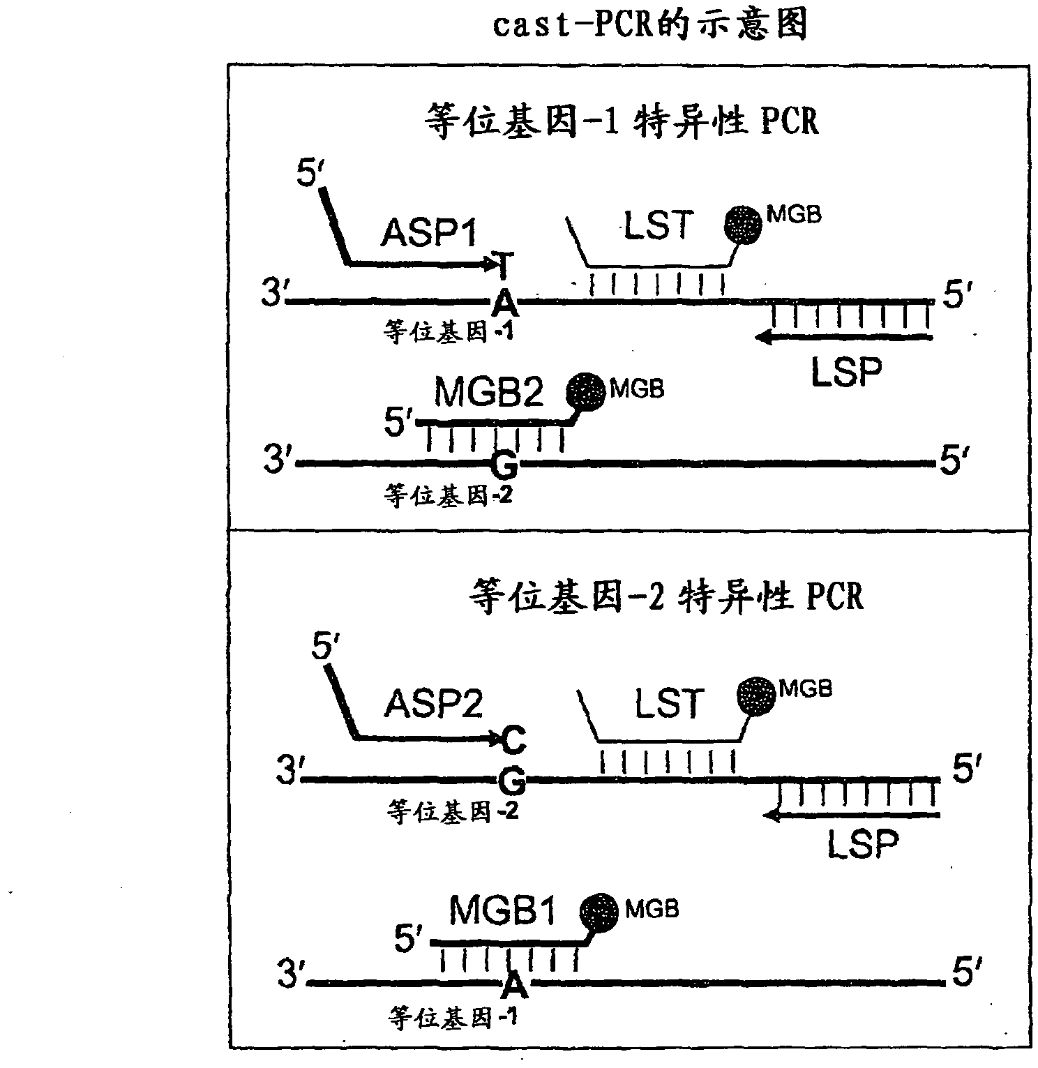 Methods, compositions, and kits for detecting allelic variants