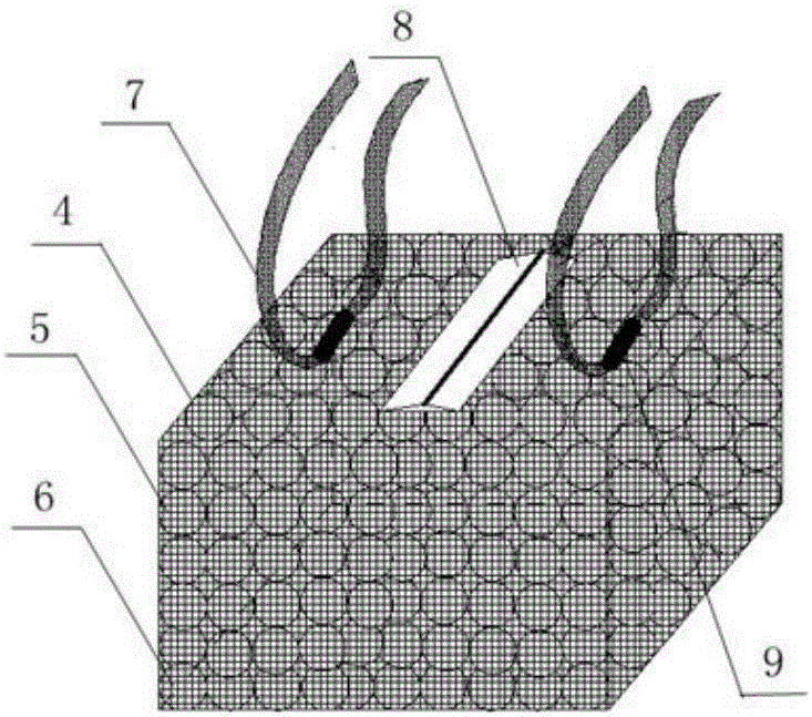 Self-circulation peneid culture system