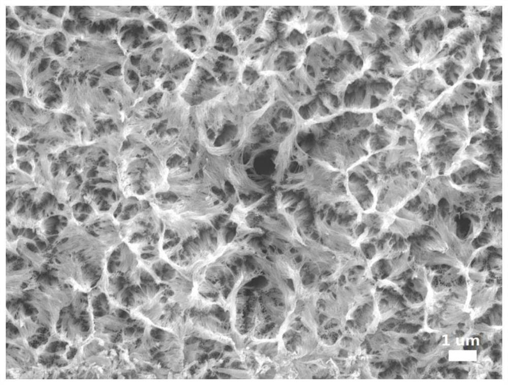 Nanotube array/nanowire composite structure, preparation method, quantum dot sensitized composite structure and application