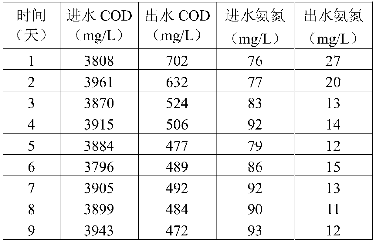 Rhodococcus ruber strain and application thereof in treatment of wastewater containing organic pollutants