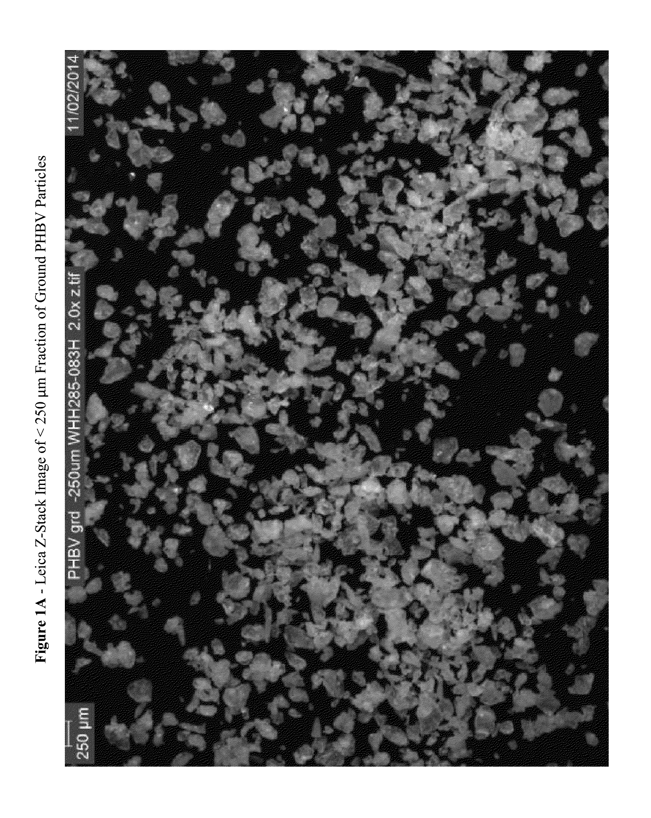 Skin cleansing compositions comprising biodegradable abrasive particles