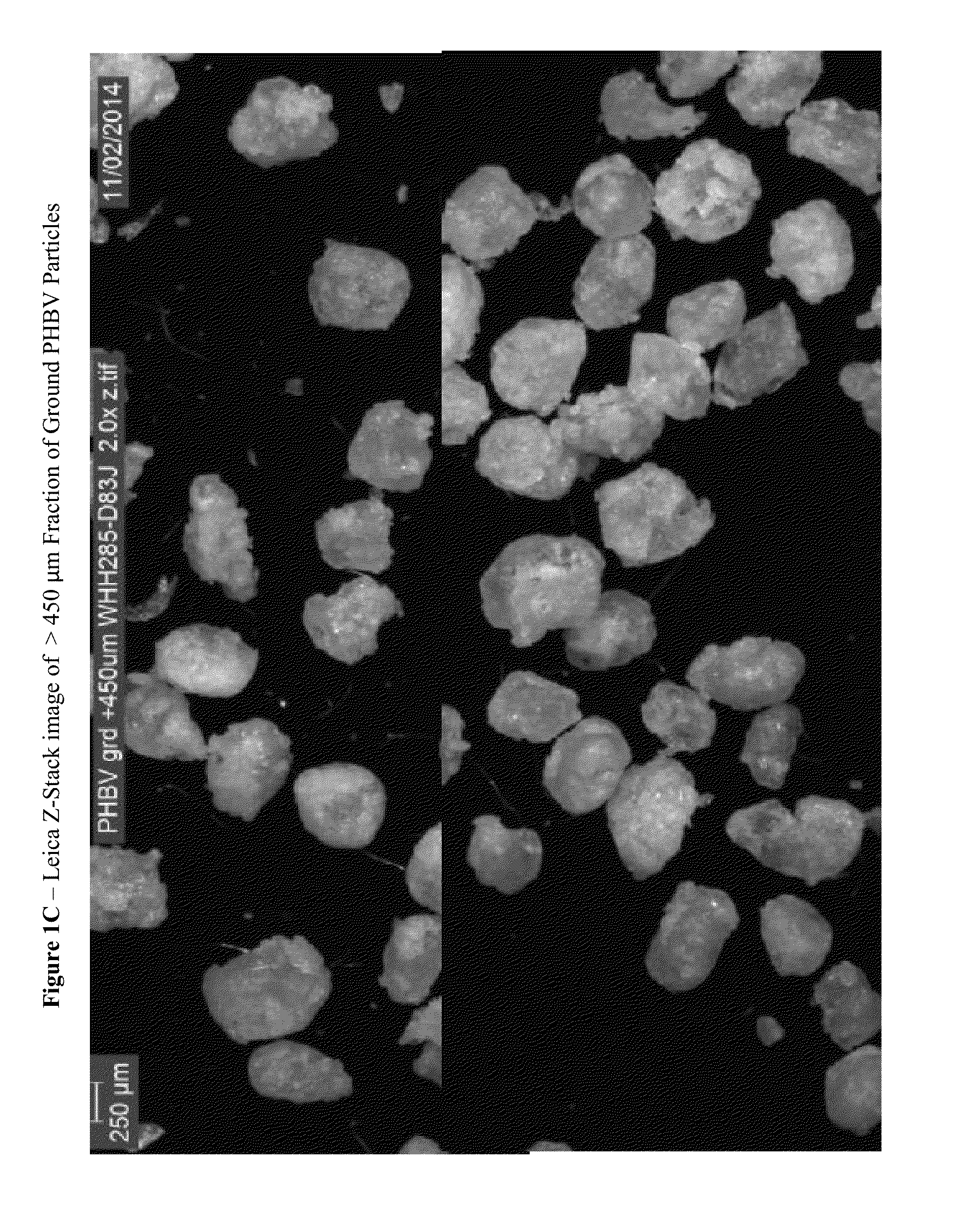 Skin cleansing compositions comprising biodegradable abrasive particles