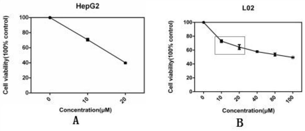 Application of an epigenetic factor inhibitor 40569z in the preparation of liver cancer drugs