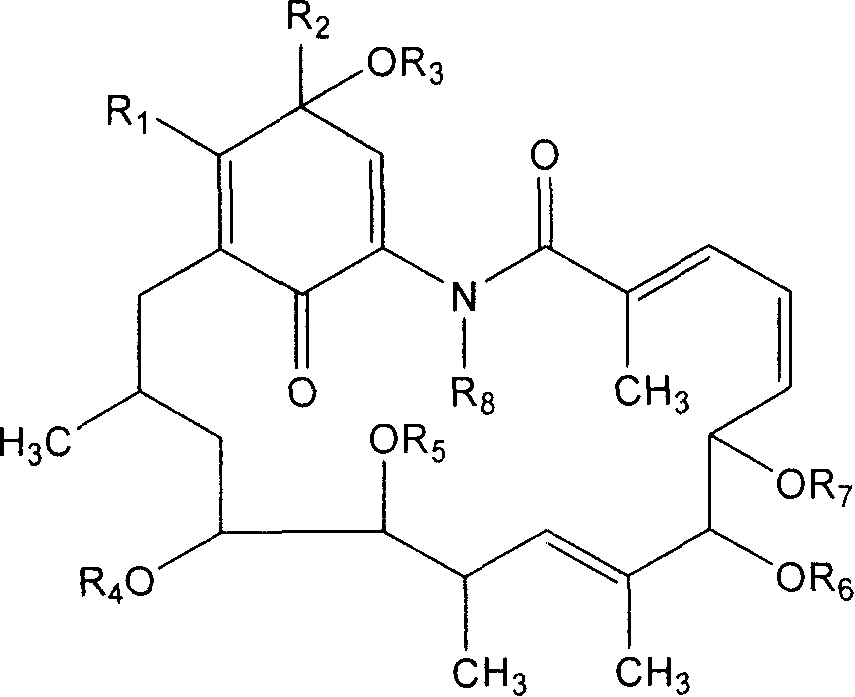 Carbonyl additive derivative of geldanamycin benzoquinone, preparation method and use thereof