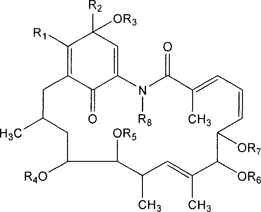 Carbonyl additive derivative of geldanamycin benzoquinone, preparation method and use thereof