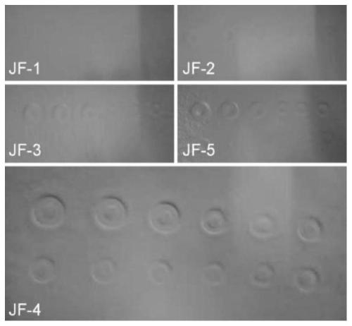 Anti-curling low-solidification-rate PU resin and preparation method thereof