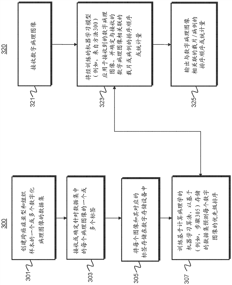 System and method for processing image of slide to automatically prioritize processed slide image for digital pathology