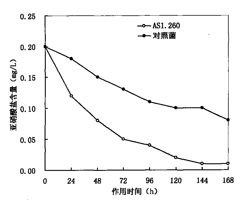 Method for preparing water purification agent for degrading nitrite and ammoniacal nitrogen in aquaculture water body