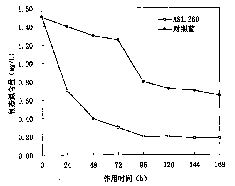 Method for preparing water purification agent for degrading nitrite and ammoniacal nitrogen in aquaculture water body