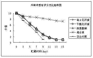 Composite biological fresh-keeping agent for meat and preparation method of composite biological fresh-keeping agent