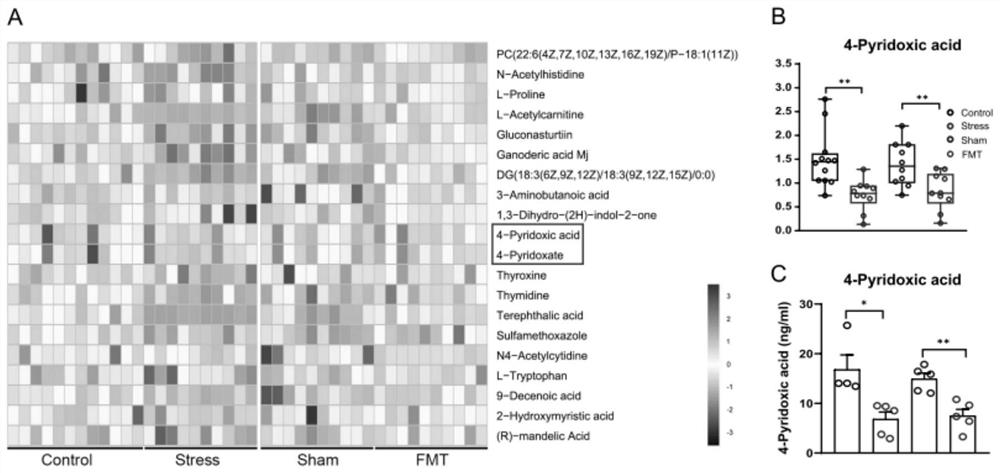 Vitamin B6 + probiotic mixture and application thereof in preparation of medicine for relieving stress-related secondary injury and aseptic inflammation