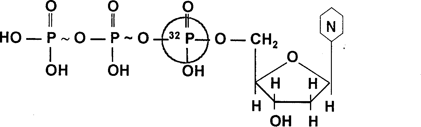 Method for deriving mulriple DNA sequences from atom destructurizing