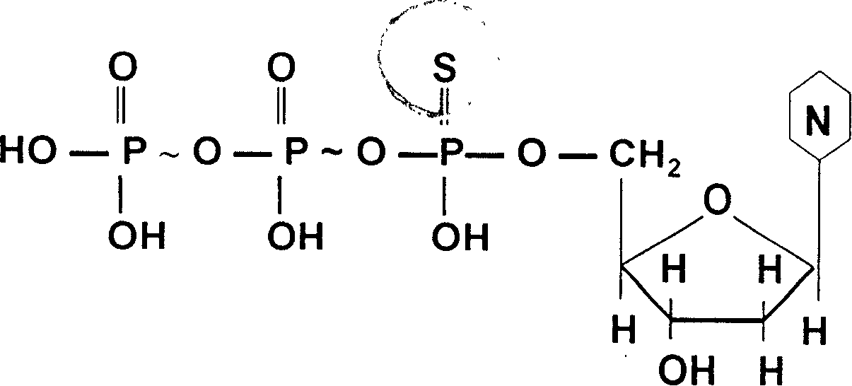 Method for deriving mulriple DNA sequences from atom destructurizing