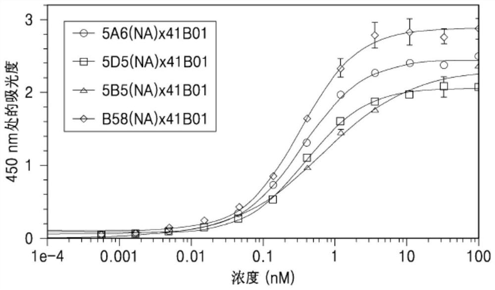 Anti-BCMA/anti-4-1BB bispecific antibodies and uses thereof