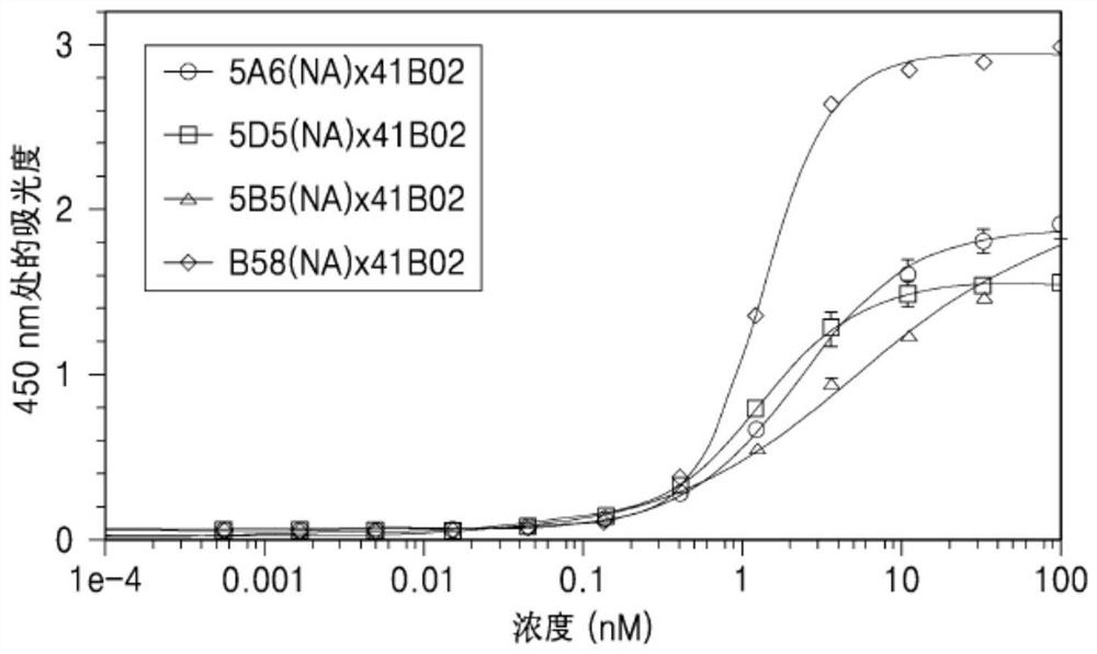 Anti-BCMA/anti-4-1BB bispecific antibodies and uses thereof