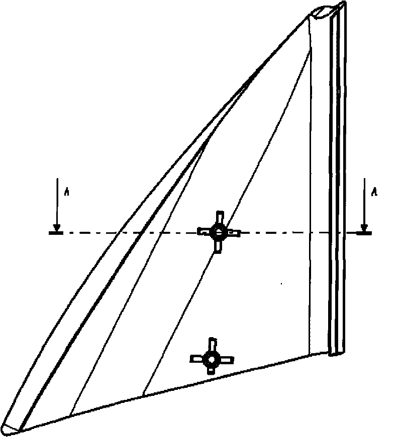 Triangle trim panel installation structure of automobile door