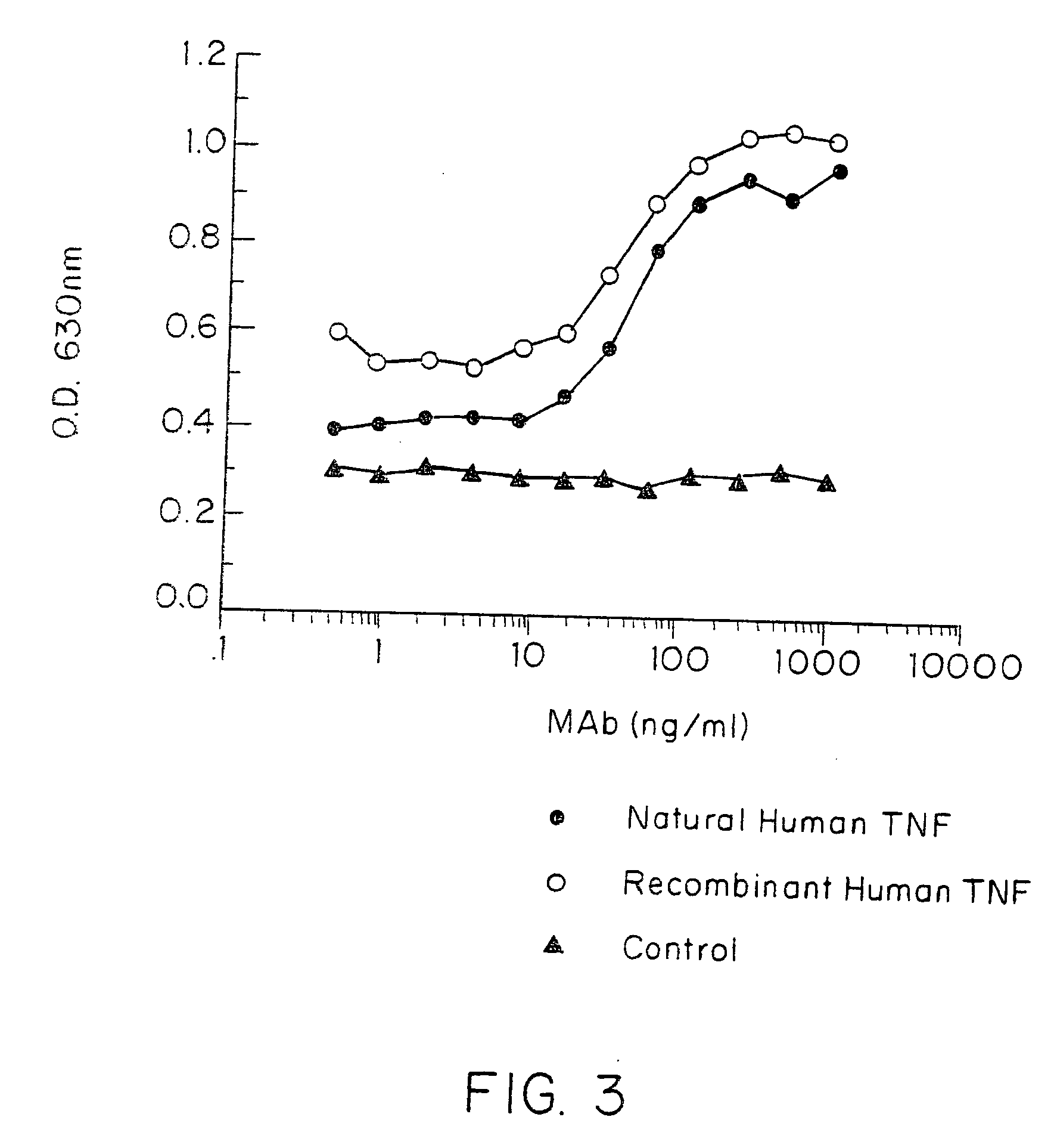 Anti-TNF antibodies and peptides of human tumor necrosis factor