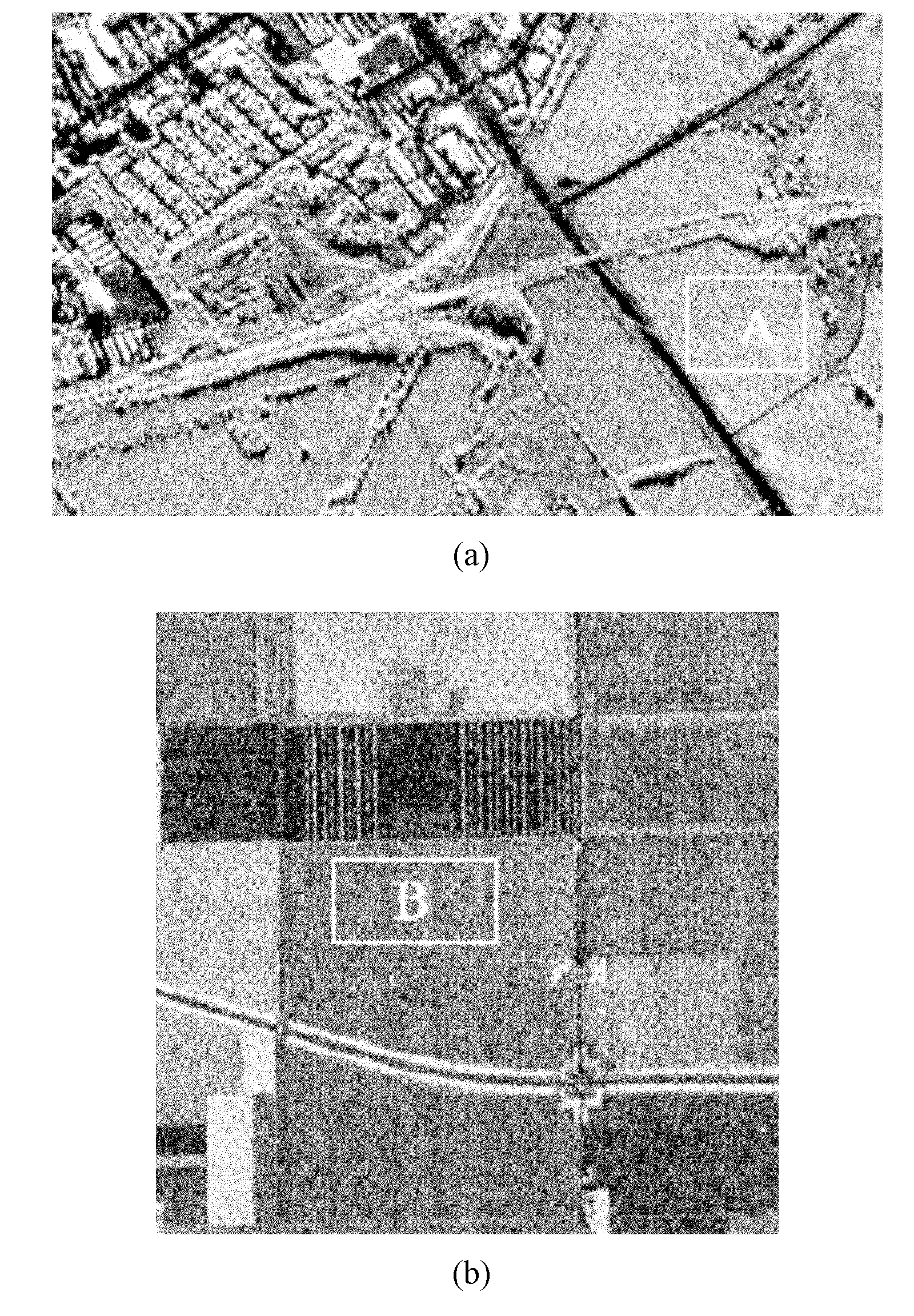 Speckle suppression method for polarized SAR (Synthetic Aperture Radar) data based on non-local mean value fused with PCA (Polar Cap Absorption)