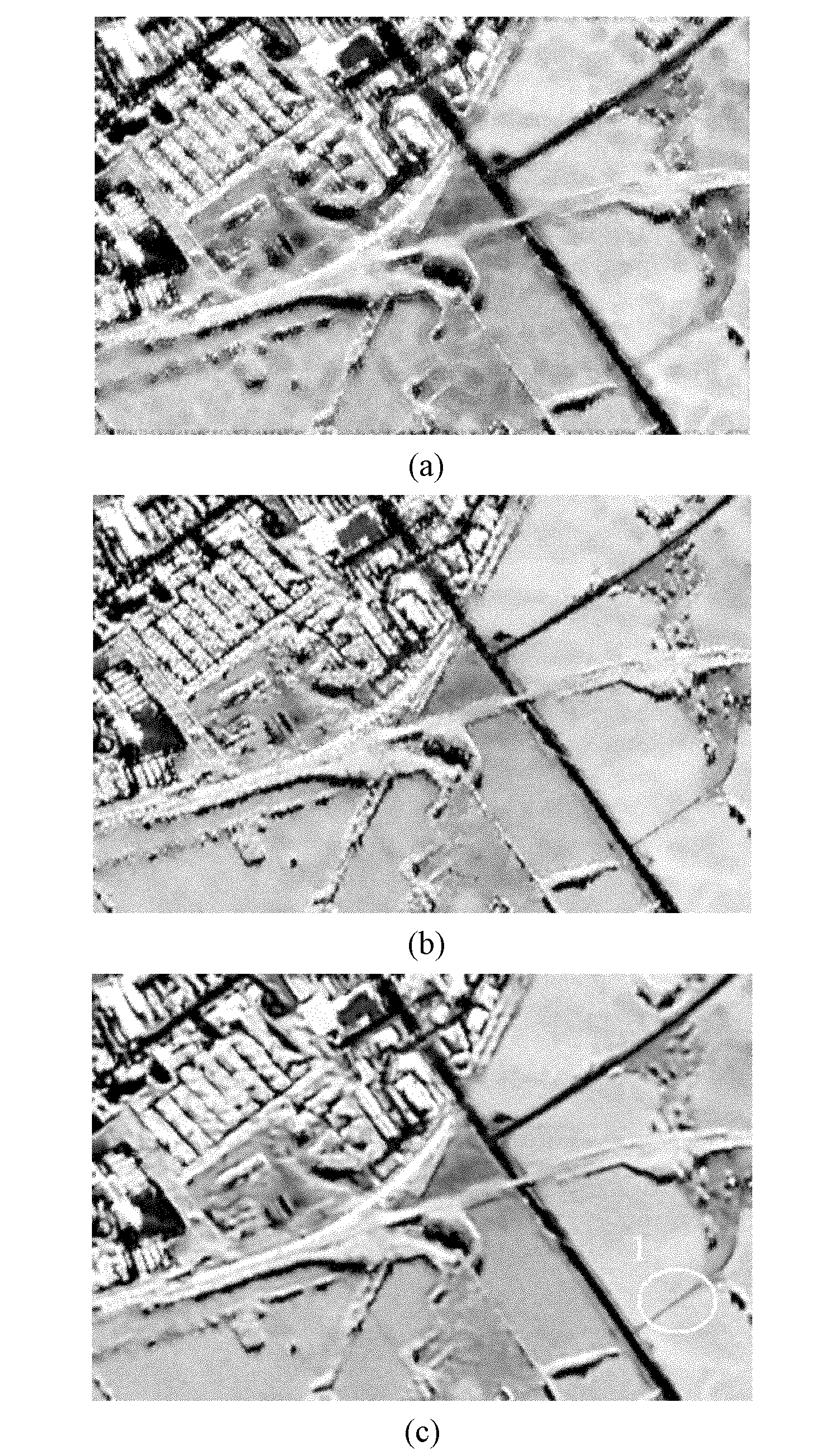 Speckle suppression method for polarized SAR (Synthetic Aperture Radar) data based on non-local mean value fused with PCA (Polar Cap Absorption)