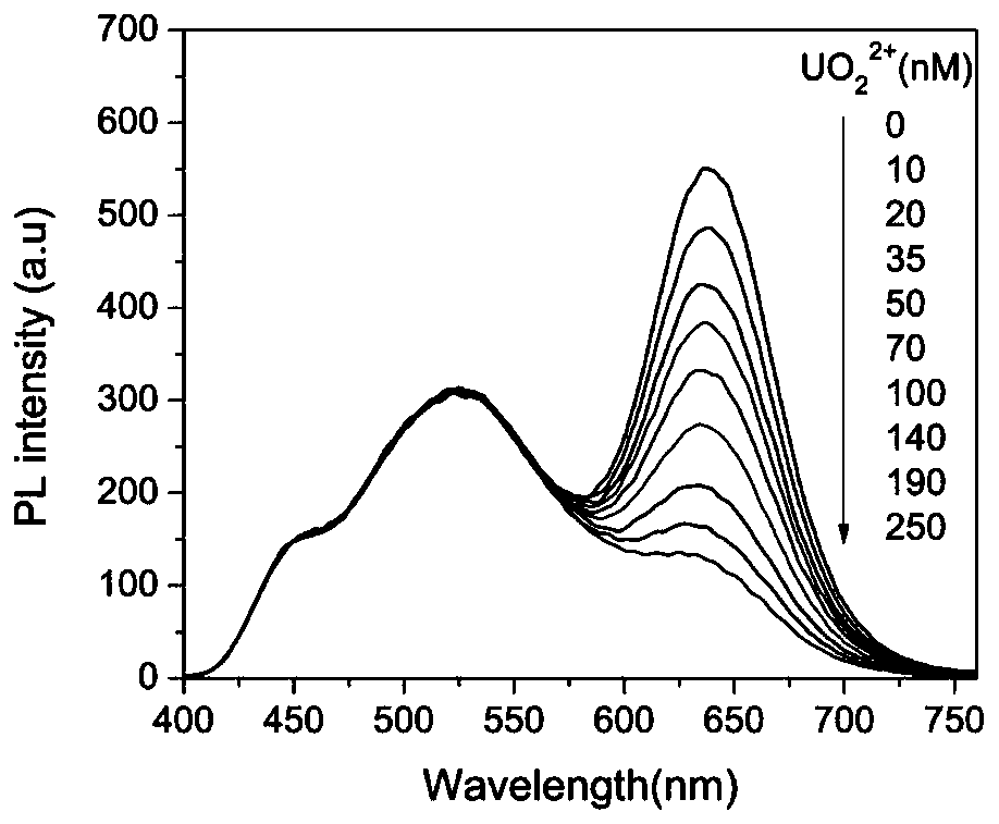 A dual-channel fluorescent uranyl ion probe and its application
