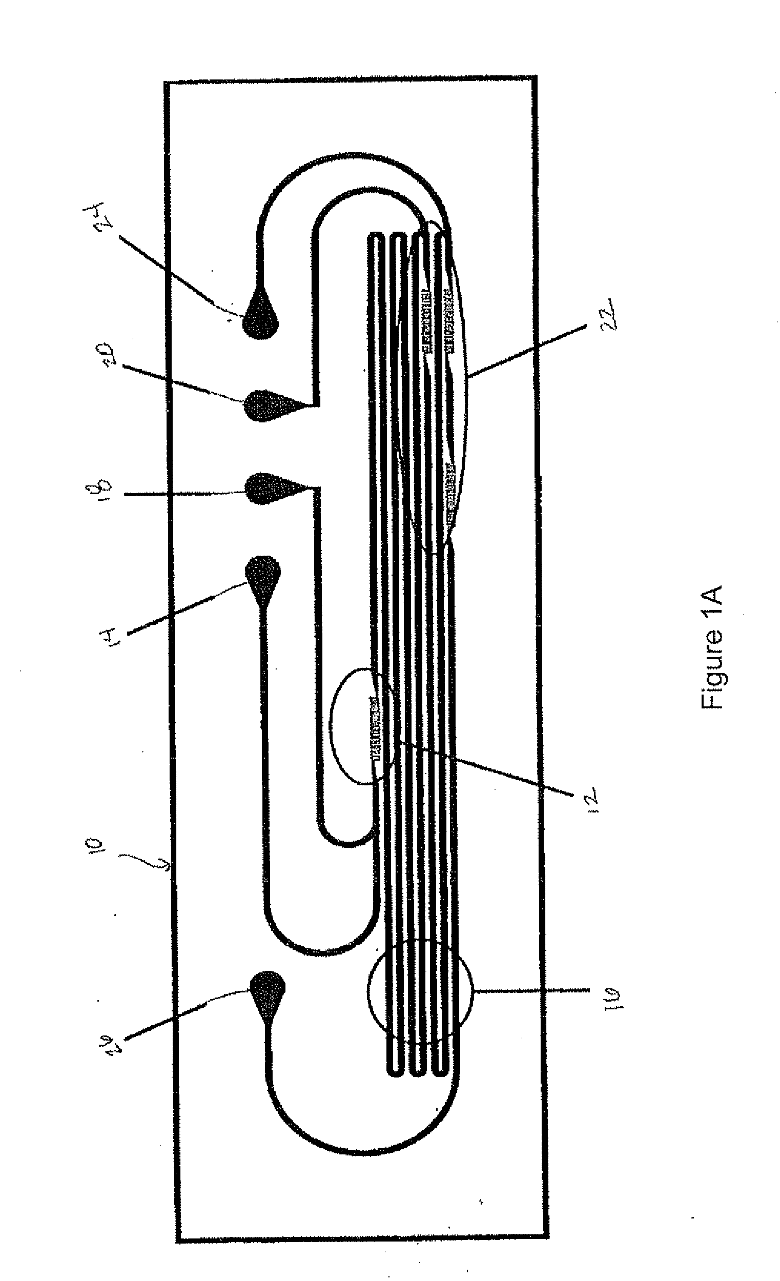 Microchemical method and apparatus for synthesis and coating of colloidal nanoparticles