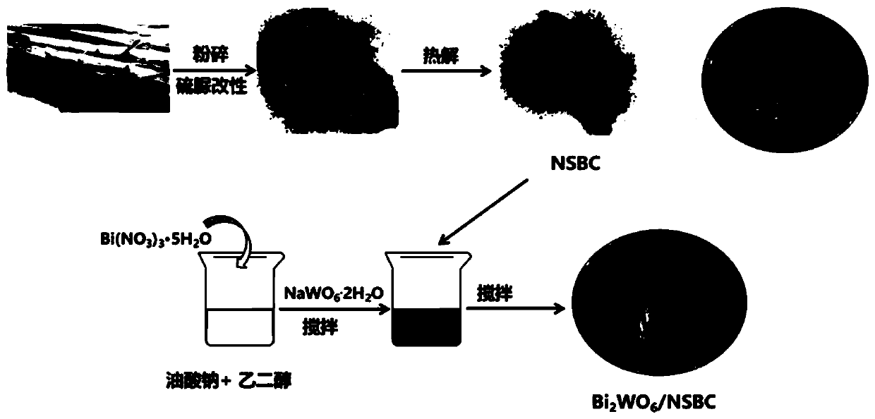 Preparation method of bismuth tungstate nitrogen and sulfur co-modified biochar