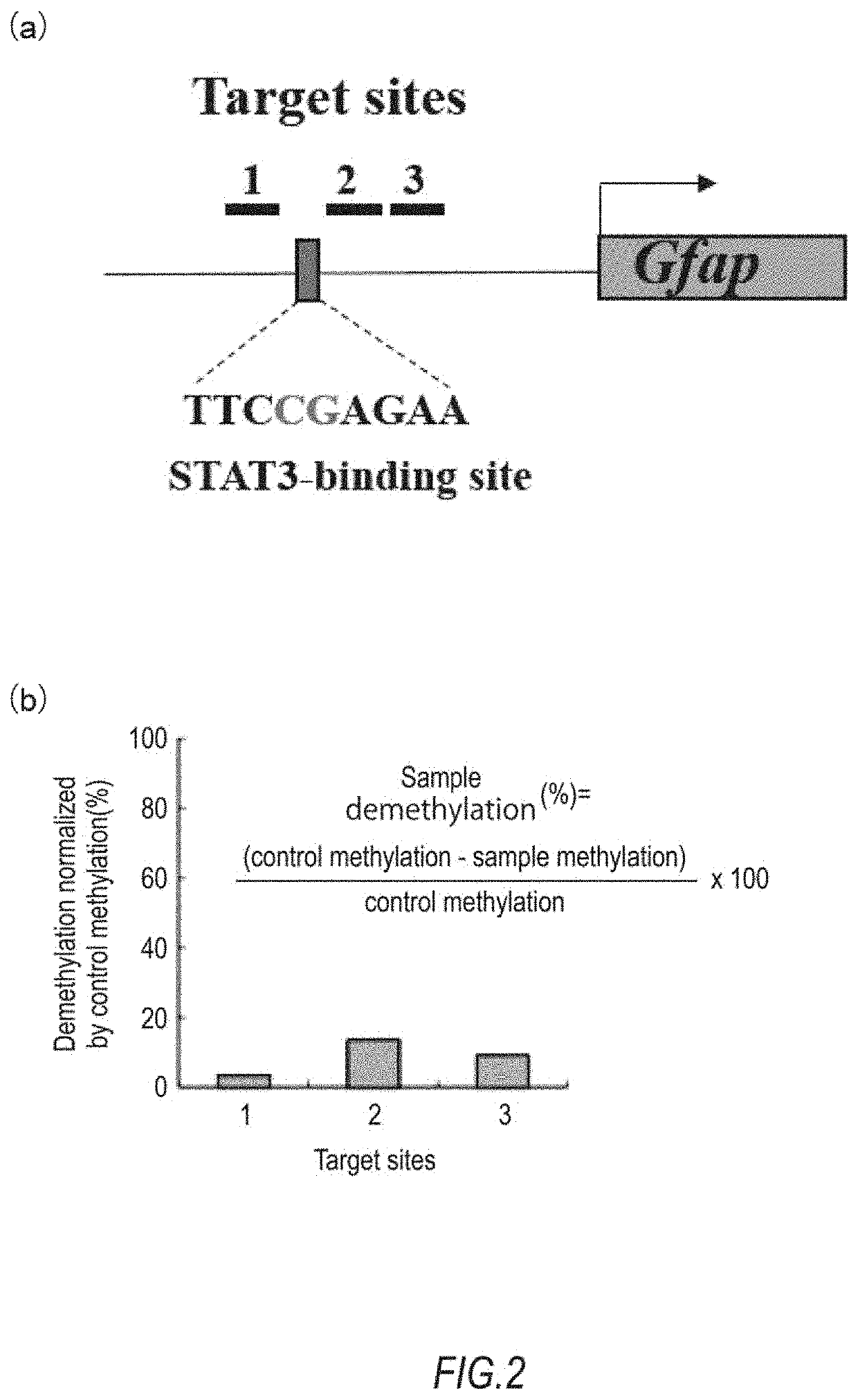 DNA methylation editing kit and DNA methylation editing method