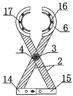 Device for rat leg femoral nerve stimulation