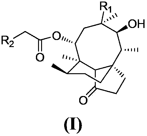 A class of pleuromytilin derivatives, drug composition, synthesis methods and uses thereof